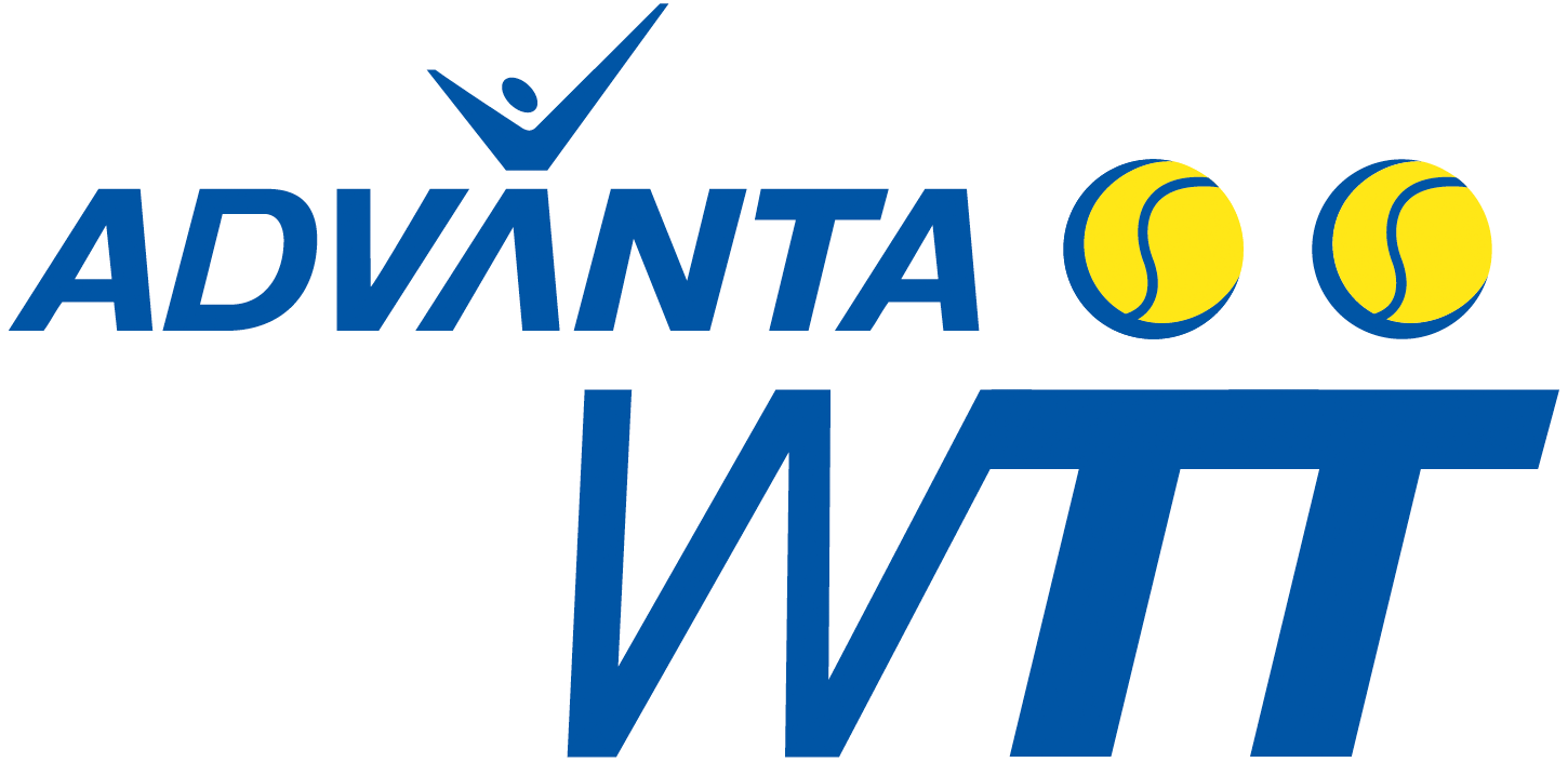 World TeamTennis 2008-2009 Primary Logo iron on transfers for clothing